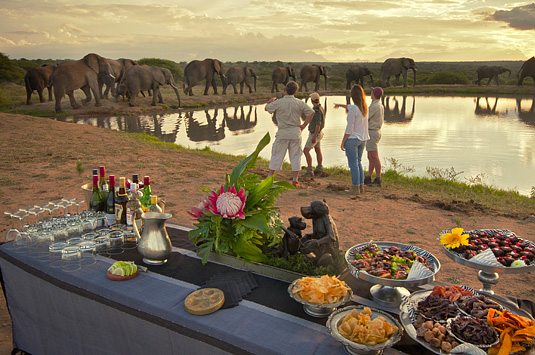 Enjoy daily sundowners watching the Elephants at Camp Jabulani located in the Big 5 Kapama Private Game Reserve, Greater Kruger Park in South Africa Camp Jabulani Elephant interaction Kapama Private Game Reserve Big 5 Greater Kruger Park South Africa
