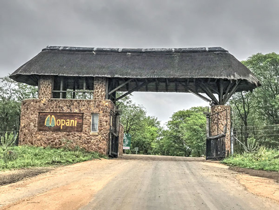Mopani Rest Camp entrance in the Big 5 Kruger National Park, a wildlife game reserve located in South Africa Mopani Rest Camp Kruger National Park restcamps wildlife game reserve South Africa wildlife safaris Big Five accommodation