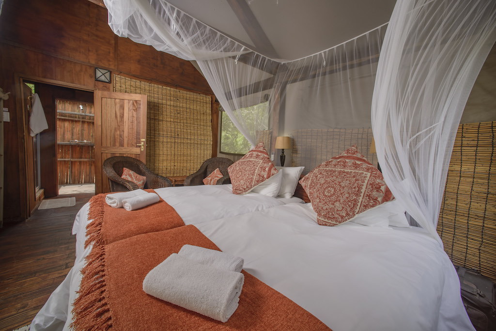 Nkambeni Safari Camp - Kruger National Park Accommodation Bookings